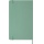 Notes MOLESKINE 2026, L, 13x21cm, gładki, twarda oprawa, Sage Green