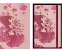 Notebook MOLESKINE 2026 Sakura, L, 13x21cm, plain, box