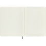 Notes MOLESKINE Pro, edycja limitowana Boa Synthetic, XL, w linie, zielony, box, Notatniki, Zeszyty i bloki