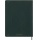 Notes MOLESKINE Pro, edycja limitowana Boa Synthetic, XL, w linie, zielony, box