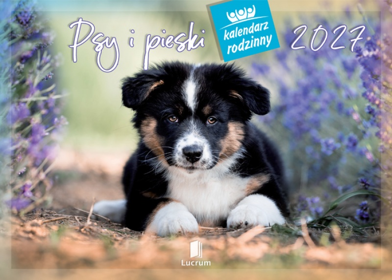 KALENDARZ RODZINNY WL08 PSY I PIESKI 2027, Ścienne, Kalendarze