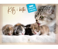 KALENDARZ RODZINNY WL09 KOTY I KOTKI 2027