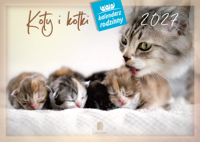 KALENDARZ RODZINNY WL09 KOTY I KOTKI 2027, Ścienne, Kalendarze