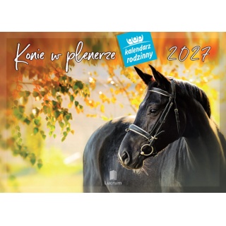 KALENDARZ RODZINNY WL10 KONIE W PLENERZE 2027, Ścienne, Kalendarze