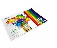 BLOK RYSUNKOWY A3 KOLOROWY BR-8 80gr.30k., Bloki, Zeszyty i bloki