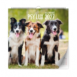 KALENDARZ ŚCIENNY LUX PSY 2027, Ścienne, Kalendarze