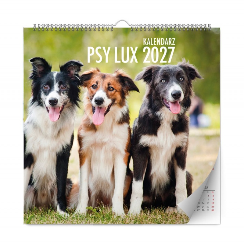 KALENDARZ ŚCIENNY LUX PSY 2027, Ścienne, Kalendarze