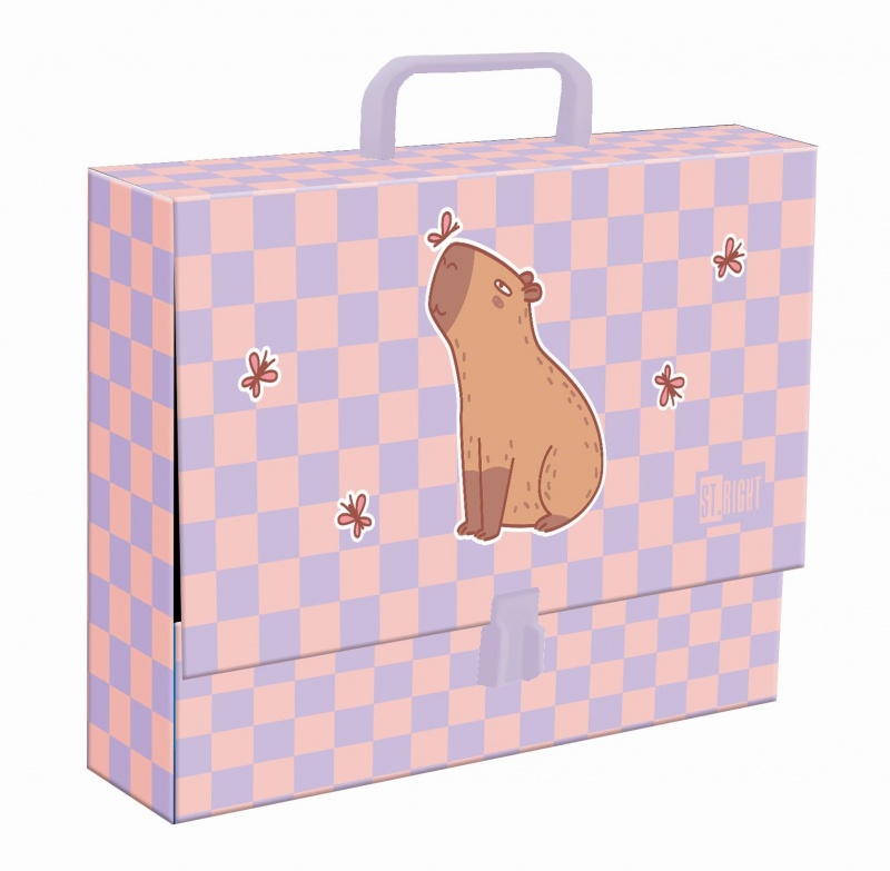 TECZKA Z RĄCZKĄ A4 XL ST.RIGHT CHILL CAPYBARA, Teczki przestrzenne, Organizacja dokument&oacute;w