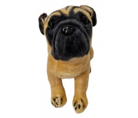 Pies mops