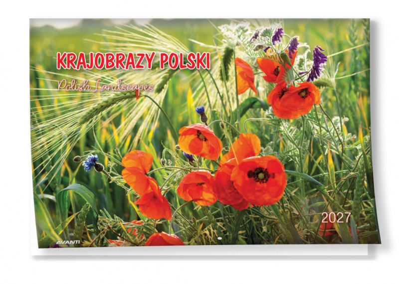 KALENDARZ ALBUMOWY KRAJOBRAZY POLSKI 2027, Ścienne, Kalendarze