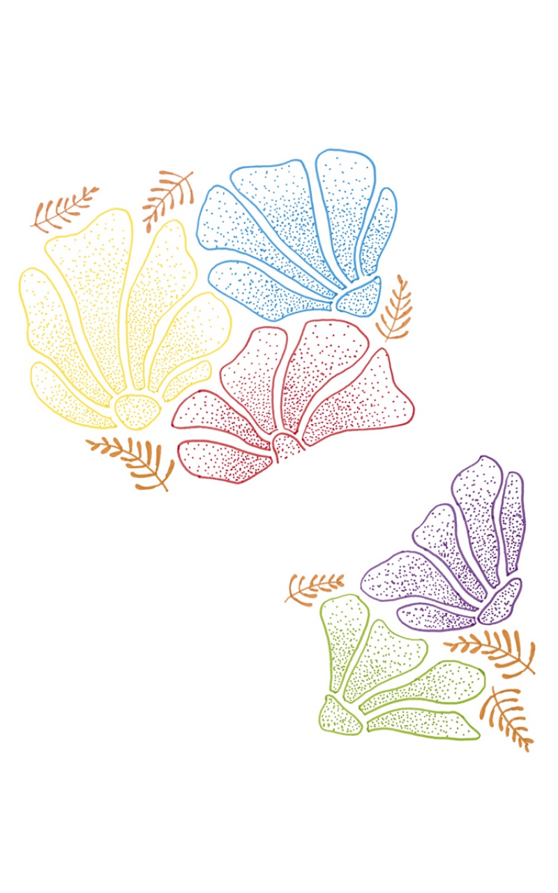 Markers JOVI, fine, 12 pcs, assorted colors