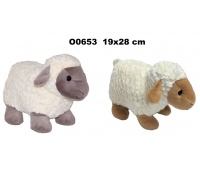 OWCA 2 ASST 20 CM 177551