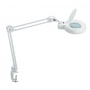 Energy-saving desktop lamp with magnifier, MAULviso, 22W, clamp mounted, white