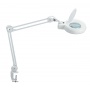 Desktop LED lamp, MAULviso, 6W, with magnifier, clamp mounted, white