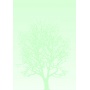 Arkusze barwne Drzewo 100g 50 arkuszy A4, Arkusze barwne, Galeria Papieru